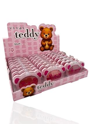 VIVAI TEDDY BLUSH ROSE 3 SORTIMENTOS COM 2 CORES CADA, (24pçs)